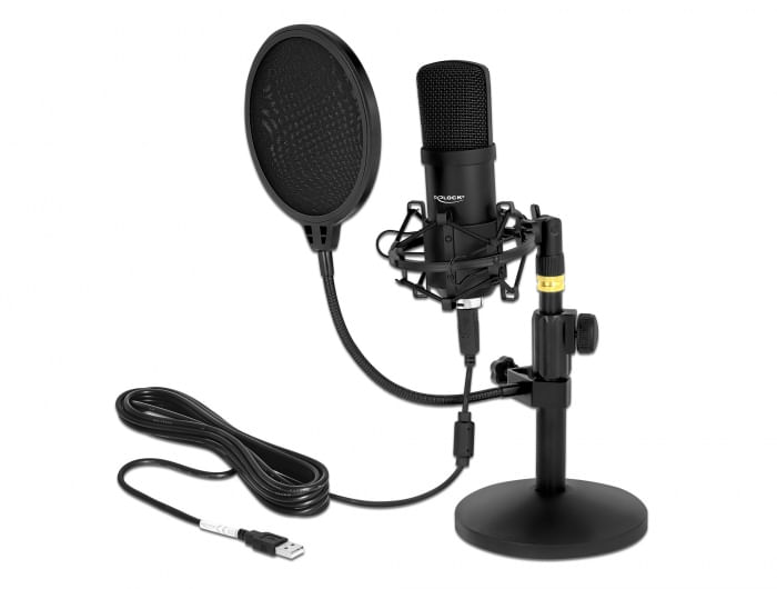 Delock-Set-microfono-a-condensatore-USB-professionale-per-podcasting-e-giochi