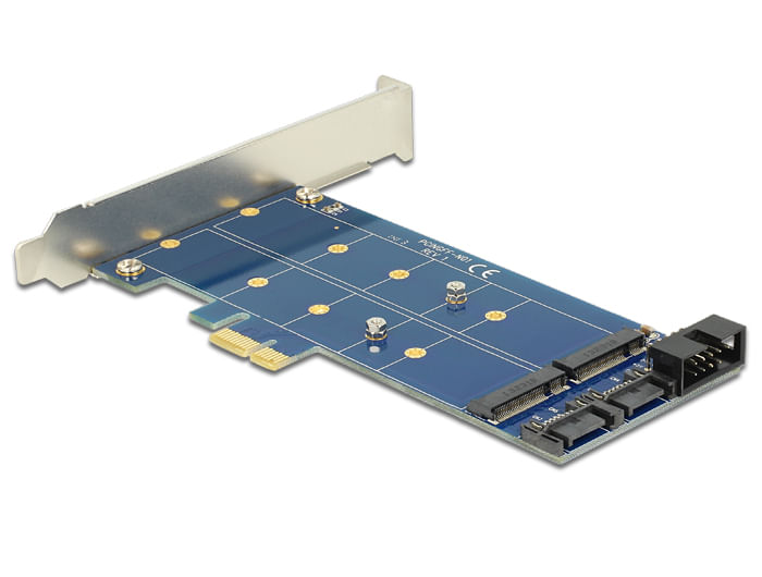 DeLOCK-PCI-Express-Card->-2-x-internal-M.2-NGFF---Speicher-Controller---USB2.0---M.2-Card---SATA-6Gb-s-Low-Profile---6GB