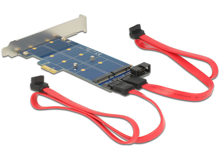 DeLOCK-PCI-Express-Card->-2-x-internal-M.2-NGFF---Speicher-Controller---USB2.0---M.2-Card---SATA-6Gb-s-Low-Profile---6GB