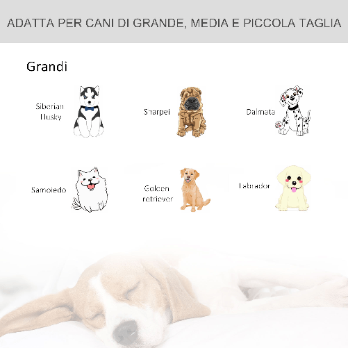 PawHut-Kennel-per-Cani-Pieghevole-Porta-con-Blocco-4-Ruote-Fondo-Rimovibile