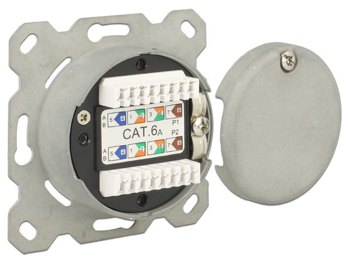 Delock-Scatola-di-connessione-di-rete-da-incasso-a-2-porte-Cat.6A-LSA--86195-