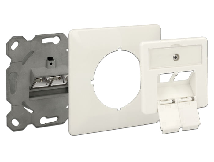 Delock-Scatola-di-connessione-di-rete-da-incasso-a-2-porte-Cat.6A-LSA--86195-