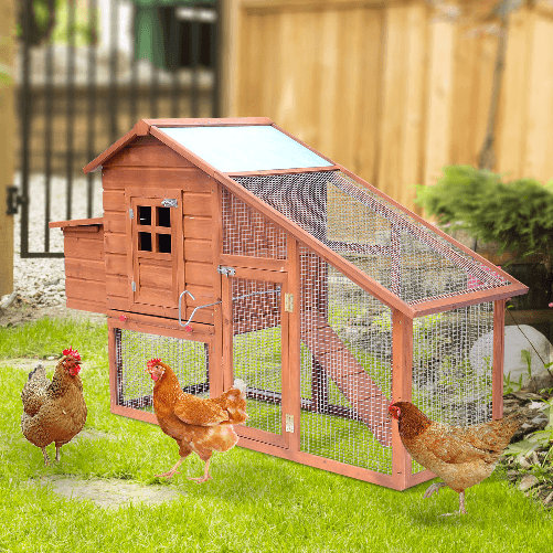 PawHut-Pollaio-in-Legno-con-Casetta-Nido-di-Cova-e-Area-Aperta-per-2-4-Galline-190x66x116cm-Arancione