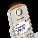 Telefono-cordless-Panasonic-a-tasti-grandi-con-AB-KX-TGE262GN-Duo---champagne