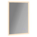 kleankin Specchio Bagno con Luce LED, Funzione Anti-Appannamento e Tasti Touch, 70x50cm, Argento