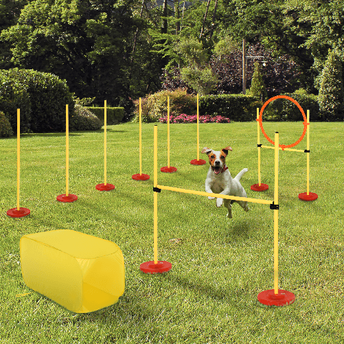 PawHut-Set-Agility-Dog-per-Addestramento-Cani-con-Ostacoli-Regolabili-Slalom-e-Tunnel