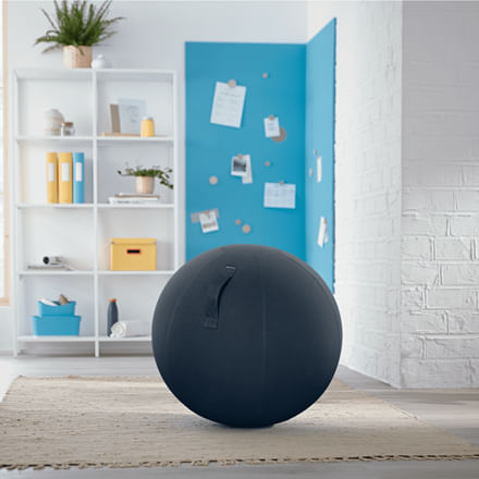 Leitz-Ergo-Cosy-Grigio-Interno-Rotondo--Leitz-Ergo-Cosy-Sitting-Ball-Velvet-Grey-