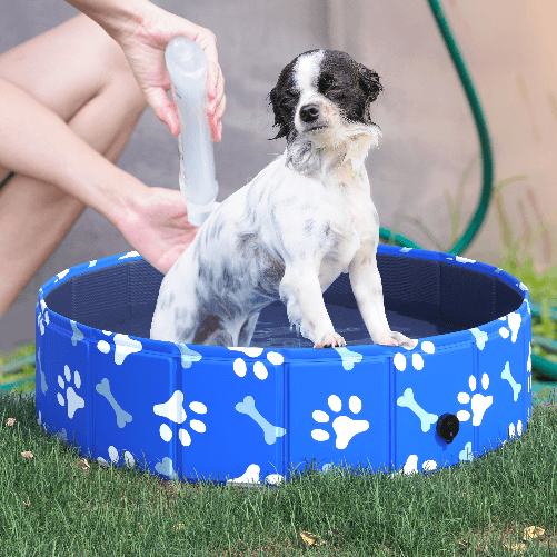 PawHut-Piscina-Rigida-per-Cani-Taglia-Piccola-25kg-in-Plastica-Dura-e-Antiscivolo-per-Giardino-o-Interni-Blu-Φ80x20cm