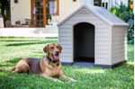 Pidema-Cuccia-per-cani-da-esterno-in-resina.-Cucce-da-giardino-per-animali-domestici-con-pavimento-integrato-e-rialzato-dimensioni-95x99x99H-cm.