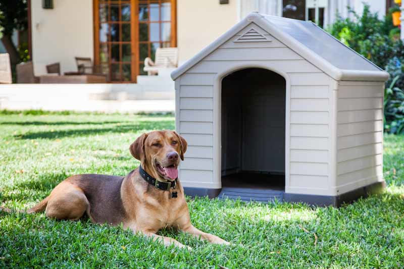 Pidema-Cuccia-per-cani-da-esterno-in-resina.-Cucce-da-giardino-per-animali-domestici-con-pavimento-integrato-e-rialzato-dimensioni-95x99x99H-cm.