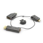 PureLink IQ-AR200 adattatore per inversione del genere dei cavi DisplayPort + Mini DisplayPort + USB Type