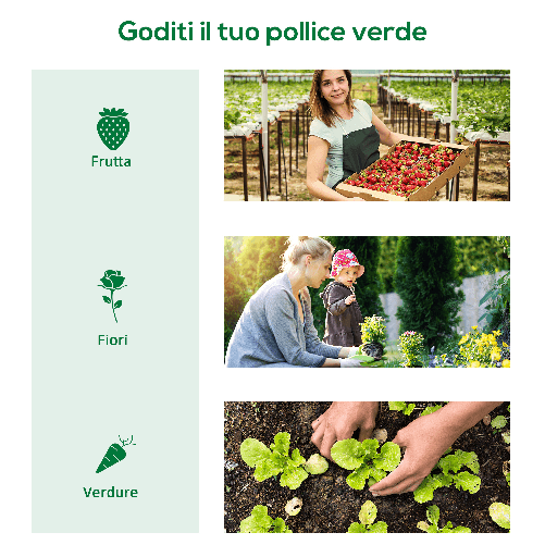 Outsunny-Serra-per-Piante-Fiori-Ortaggi-Colivazione-da-Giardino-Balcone-con-Tubi-di-Acciaio-e-Copertura-in-Polietilene-con-3-Porte-Verde--400cm-x-100cm-x-80cm-