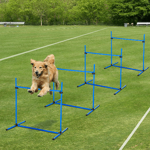 PawHut-Set-di-4-Ostacoli-Agility-Dog-per-Addestramento-Cani-ad-Altezza-Regolabile-con-Borsa-da-Trasporto-Inclusa-99x65x94cm-Blu