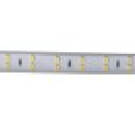 Bobina 100M Striscia Led 220V Bianco Freddo 6500K IP65 Passo 12mm 12W/M 1300LM/W Tagliabile 20cm Doppia Fila 120 smd 2835/m