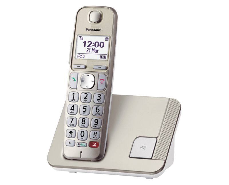 Telefono-cordless-Panasonic-a-tasti-grandi-KX-TGE250GN---champagne