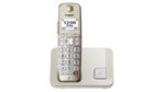 Telefono-cordless-Panasonic-a-tasti-grandi-KX-TGE250GN---champagne