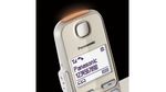 Telefono-cordless-Panasonic-a-tasti-grandi-KX-TGE250GN---champagne