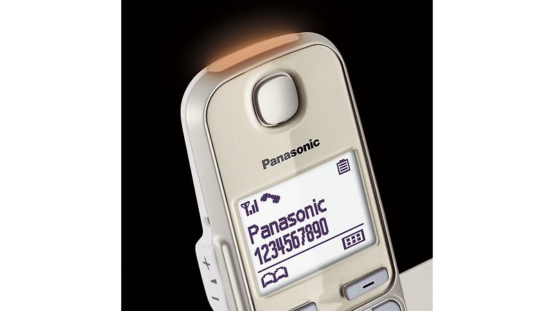 Telefono-cordless-Panasonic-a-tasti-grandi-KX-TGE250GN---champagne