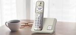 Telefono-cordless-Panasonic-a-tasti-grandi-KX-TGE250GN---champagne