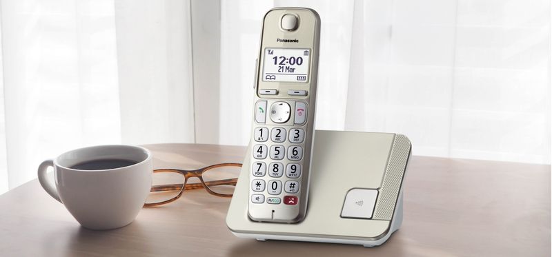 Telefono-cordless-Panasonic-a-tasti-grandi-KX-TGE250GN---champagne