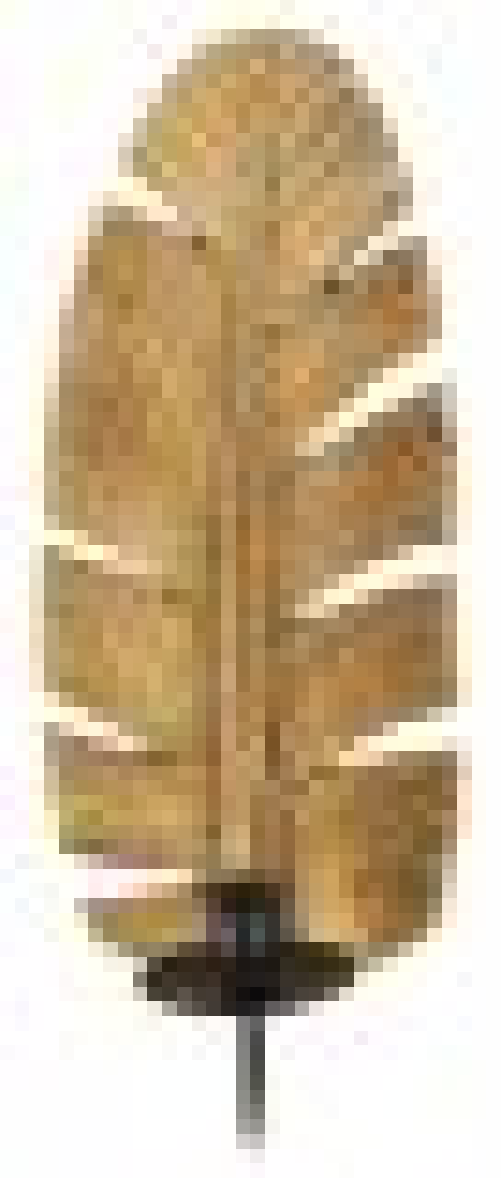 Portacandele da Muro Foglia 12,8x8,9x31,2 cm - LEAF