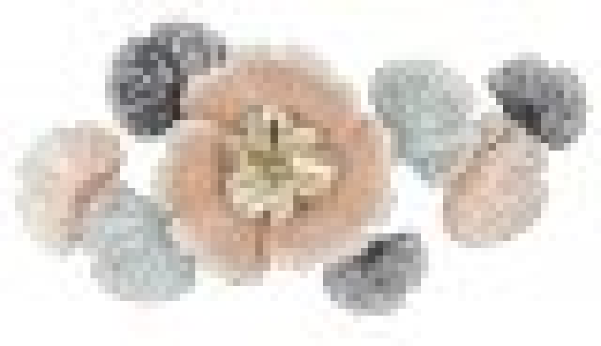 Decorazione Parete Ferro Giungla Rotonda cm 80X6,5 - SOTY