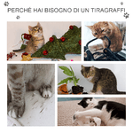 PawHut-Tiragraffi-Multilivello-per-Gatti-Cuccia-e-Corde-in-Sisal-Grigio-Chiaro