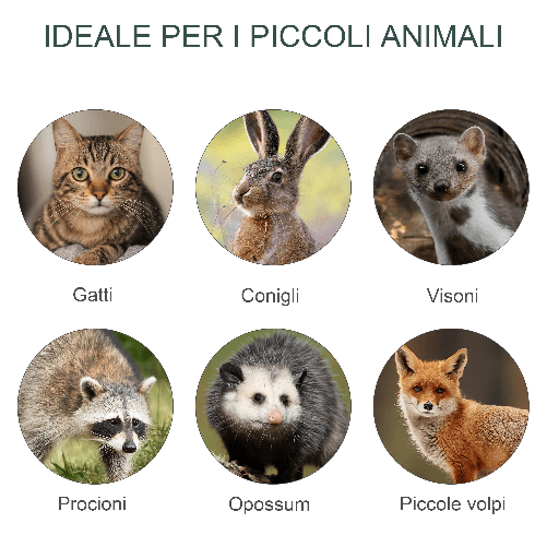 PawHut-Gabbia-Trappola-per-Animali-Vivi-con-Doppia-Porta-Trappola-per-Conigli-Gatti-e-Piccoli-Animali-100x25x28cm