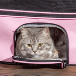 PawHut-Borsa-Trasportino-per-Cani-e-Gatti-con-2-Porte-a-Cerniera-50x35x36cm-Rosa