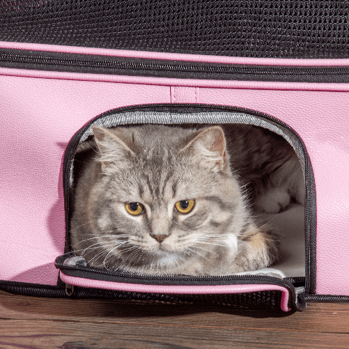 PawHut-Borsa-Trasportino-per-Cani-e-Gatti-con-2-Porte-a-Cerniera-50x35x36cm-Rosa