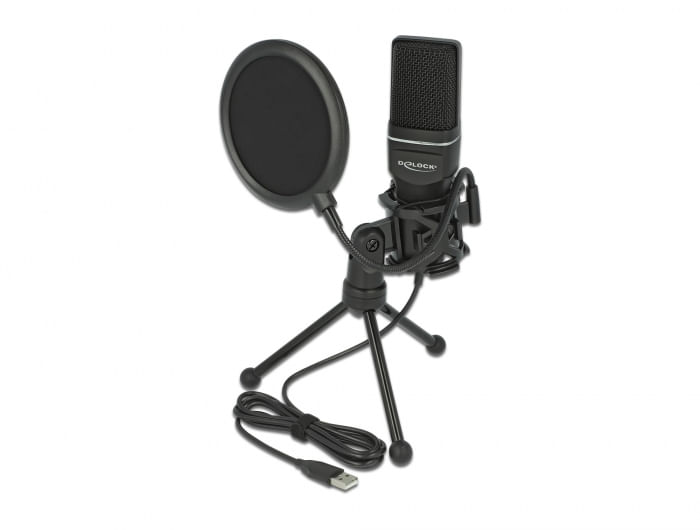 Delock-Set-microfono-a-condensatore-USB---per-podcast-giochi-e-canto