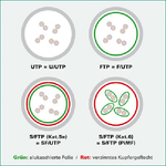 Value 3m S/FTP Cat.6a cavo di rete Bianco Cat6a S/FTP S-STP (VALUE S/FTP PiMF PatchCord Cat6a. CU. White 3.0m)