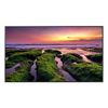 Samsung-QB55B-Pannello-piatto-per-segnaletica-digitale-1397-cm--55---VA-Wi-Fi-350-cd-m²-4K-Ultra-HD-Nero-Tizen-6.5-16-7