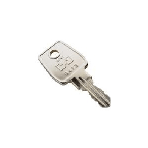 Digitus-Chiave-Nr.-EK333--DIGITUS-KEY-FOR-LOCK-DN-19-PHS---DATA-CENTER-