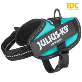 Julius-K9-Pettorina-per-cani-IDC-Powerharness-Tg.-Mini-Mini-XS---Tg.-Mini-Mini--Circonferenza-40-53-cm-Peso-4-7-Kg--Giallo-Fluo