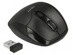 Delock-Mouse-ottico-ergonomico-a-5-pulsanti-24-GHz-wireless-con-poggiapolsi---per-destrorsi