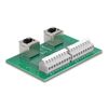 Delock-RJ45-2-prese-su-2-morsettiere-con-pulsante-per-filettatura-guida-DIN