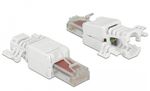 Delock-Spina-RJ45-Cat.6-UTP-senza-attrezzi-2-pezzi