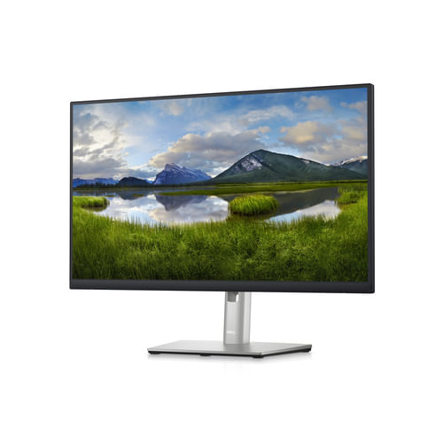 DELL-P-Series-Monitor-QHD-da-24----P2423D