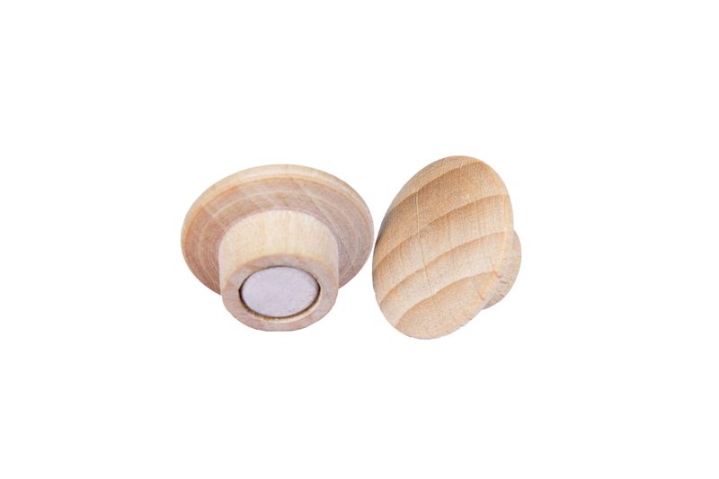 Legamaster-WOODEN-magnet-25mm-5pcs