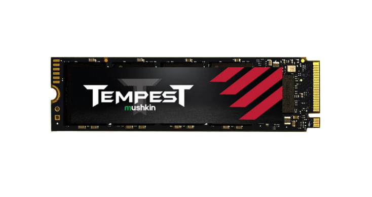 Unita-a-stato-solido-1TB-M.2-2280-Tempest-NVMe-PCIe-interna