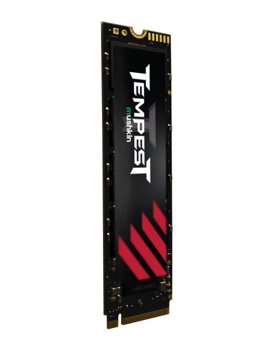 Unita-a-stato-solido-1TB-M.2-2280-Tempest-NVMe-PCIe-interna