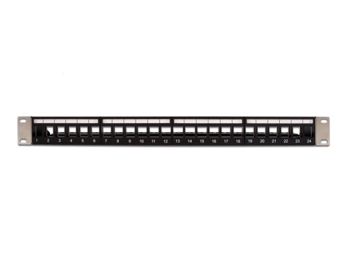 Delock---Patch-Panel---1U---483-cm--19-----24-Ports--66865-