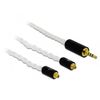 Delock-Cavo-audio-Spina-jack-da-25-mm-a-4-pin-a-2-spine-MMCX-da-120-m