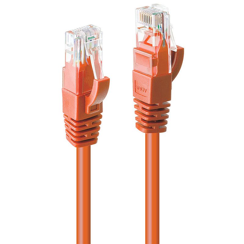 Lindy-48105-cavo-di-rete-Arancione-03-m-Cat6-U-UTP--UTP-