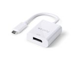 Adattatore-PureLink-da-USB-C-a-DisplayPort---4K60---iSeries---bianco---010-m