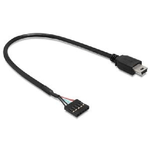 Delock Cavo USB 2.0 pin header 5 pin  USB 2.0 tipo Mini-B maschio 30 cm