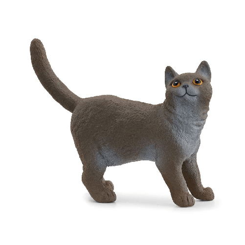 schleich-FARM-WORLD-13973-action-figure-giocattolo--SCHLEICH-Farm-World-British-Shorthair-Cat-Toy-Figure-3-to-8-Years-Bl