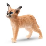 Schleich WILD LIFE 14868 action figure giocattolo (SCHLEICH Wild Life Caracal Baby Toy Figure 3 to 8 Years Tan 14868)