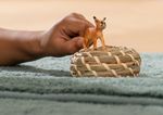 schleich-WILD-LIFE-14868-action-figure-giocattolo--SCHLEICH-Wild-Life-Caracal-Baby-Toy-Figure-3-to-8-Years-Tan-14868-